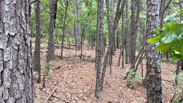 0.23 Acres in Hot Springs Village, Cifuentes Way, AR - Image 4