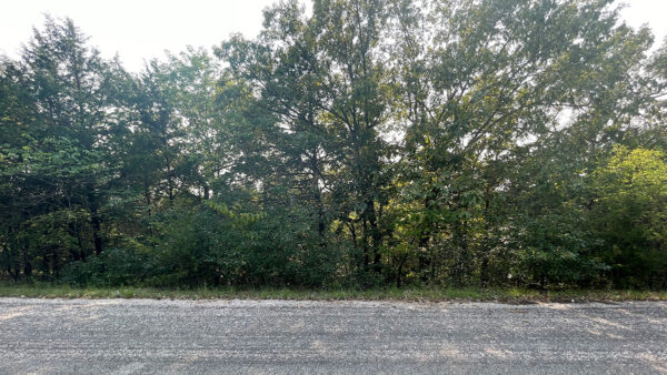 0.73 Acres in Holiday Island, AR - Image 5