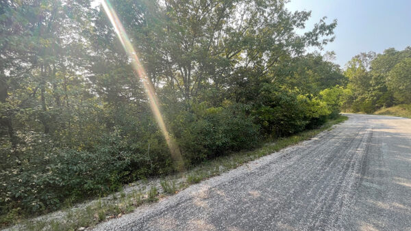 0.73 Acres in Holiday Island, AR - Image 6