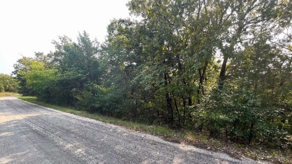 0.73 Acres in Holiday Island, AR - Image 2