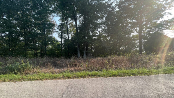 0.62 Acres in Holiday Island, AR - Image 2