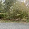 0.35 Acres in Holiday Island, AR
