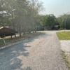 0.35 Acres in Holiday Island, AR - Image 4