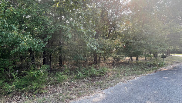 0.35 Acres in Holiday Island, AR - Image 3