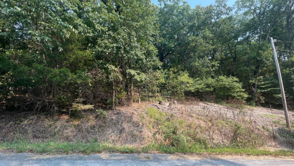0.38 Acres in Holiday Island, AR