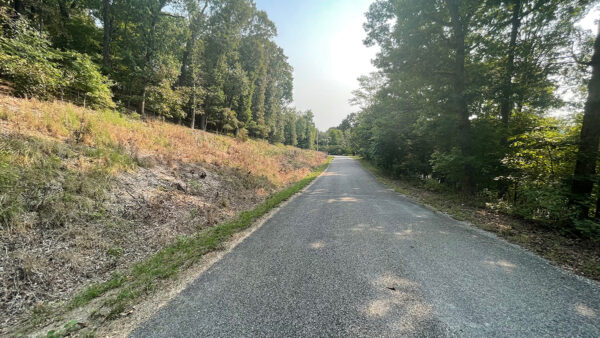0.38 Acres in Holiday Island, AR - Image 5