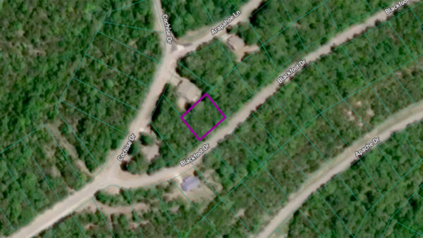 0.22 Acres in Holiday Island, AR