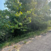 0.29 Acres in Holiday Island, AR - Image 6