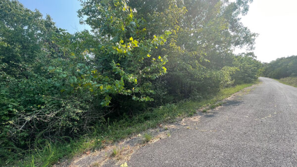 0.29 Acres in Holiday Island, AR - Image 6
