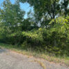 0.29 Acres in Holiday Island, AR - Image 4
