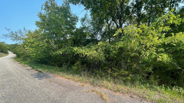 0.29 Acres in Holiday Island, AR - Image 4