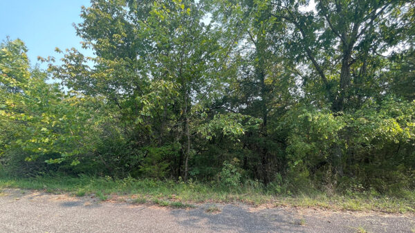 0.29 Acres in Holiday Island, AR
