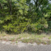 0.36 Acres in Holiday Island, AR