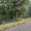 0.36 Acres in Holiday Island, AR - Image 3