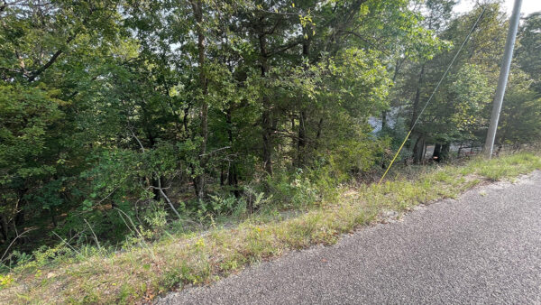 0.36 Acres in Holiday Island, AR - Image 3