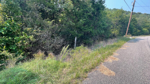 0.36 Acres in Holiday Island, AR - Image 3