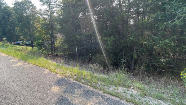 0.36 Acres in Holiday Island, AR - Image 4