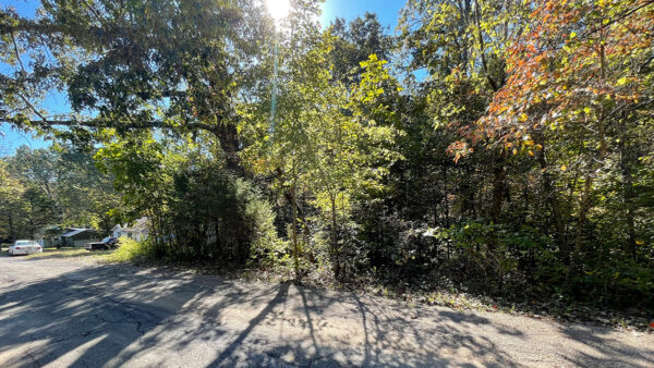 0.26 Acres in Hickory Nut Dr, Williford, AR - Image 2