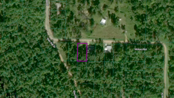 0.26 Acres in Hickory Nut Dr, Williford, AR - Image 4