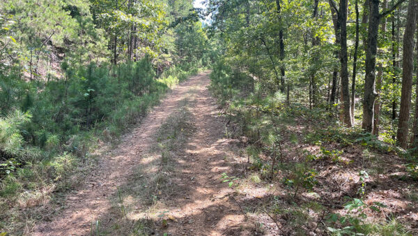0.34 Acres in Fairfield Bay, AR - Image 7