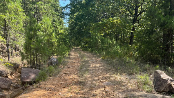 0.34 Acres in Fairfield Bay, AR - Image 3