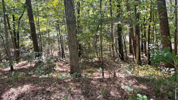 0.34 Acres in Fairfield Bay, AR