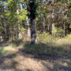 0.25 Acres in Frontier Drive, Williford, AR - Image 3