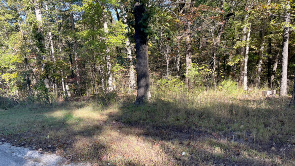 0.25 Acres in Frontier Drive, Williford, AR - Image 3