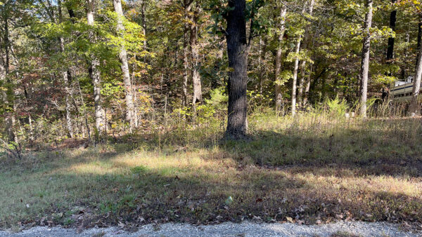 0.25 Acres in Frontier Drive, Williford, AR