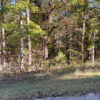 0.25 Acres in Frontier Drive, Williford, AR - Image 6