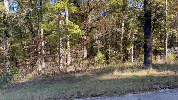 0.25 Acres in Frontier Drive, Williford, AR - Image 6