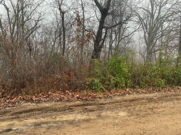 0.26 Acres in Peachtree st,Williford, AR - Image 5