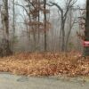 0.25 Acres in Frontier Drive, Williford, AR - Image 12