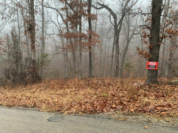 0.25 Acres in Frontier Drive, Williford, AR - Image 12