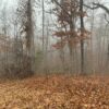 0.25 Acres in Frontier Drive, Williford, AR - Image 11