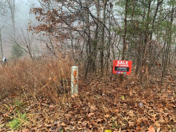 0.26 Acres in Hickory Nut Dr, Williford, AR - Image 7