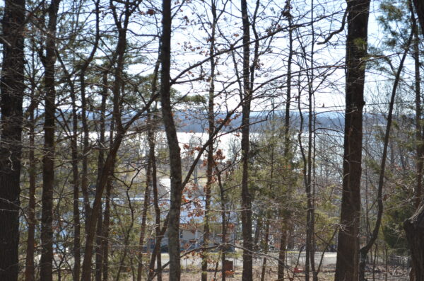 1.03 Acres in Horseshoe Bend AR Facing Lake- 3 Adjacent lots
