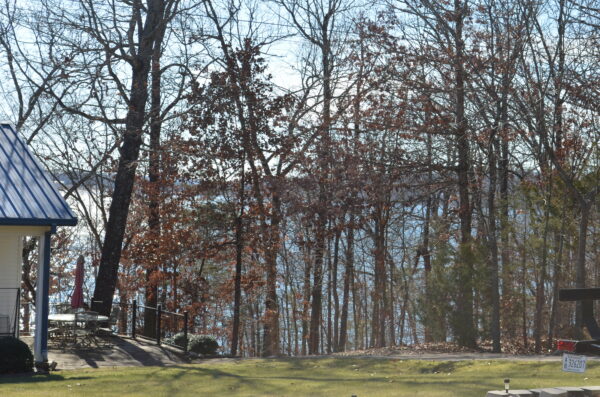 1.03 Acres in Horseshoe Bend AR Facing Lake- 3 Adjacent lots - Image 5