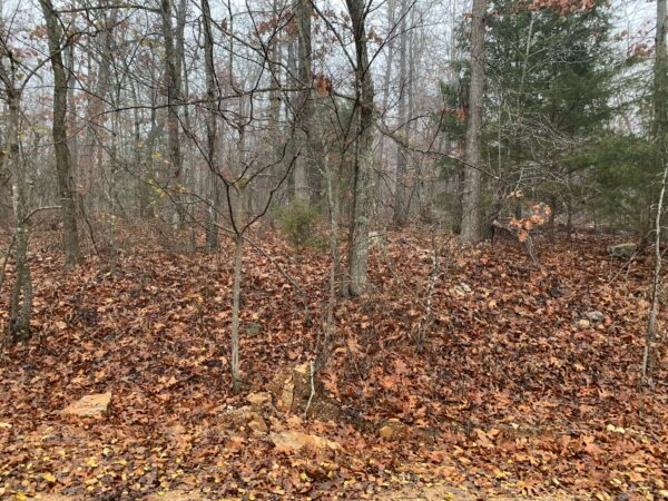 0.26 Acres Lake View in Sharp County, AR