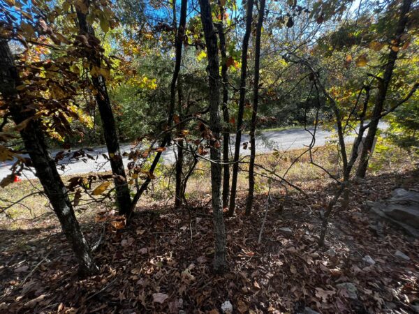 Isleta Dr - 11,120 Sq Feet Cherokee Village, Arkansas - Image 9