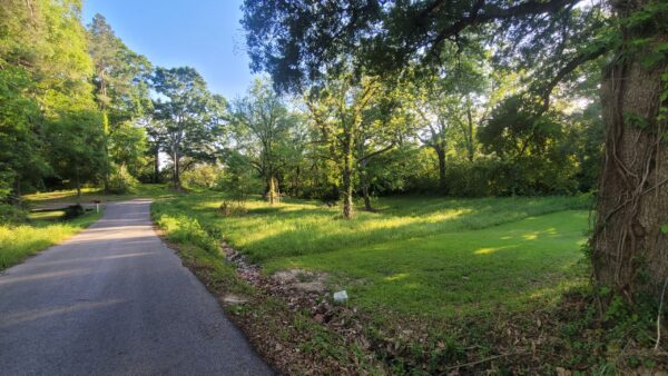 1 Acres in Laurel, N 4th ave - Image 8
