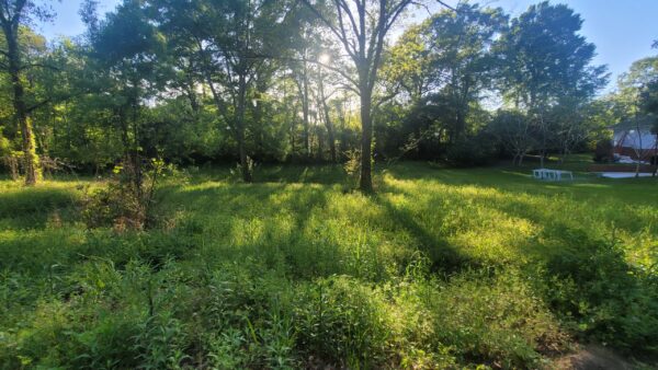 1 Acres in Laurel, N 4th ave - Image 7