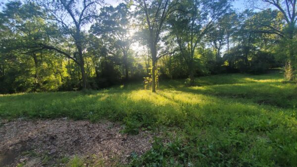 1 Acres in Laurel, N 4th ave - Image 10