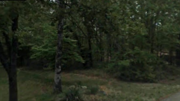 Lot OKLAWAHA DR, Cherokee Village, Arkansas - Image 2