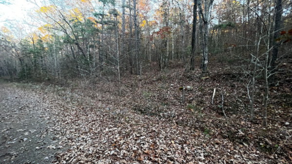 0.22 Acres at Ridgeline Lane, Fairfield Bay - AR - Image 5
