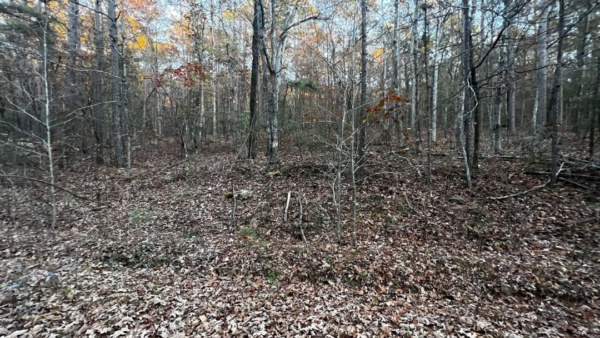 0.22 Acres at Ridgeline Lane, Fairfield Bay - AR - Image 6