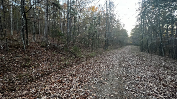 0.22 Acres at Ridgeline Lane, Fairfield Bay - AR - Image 7