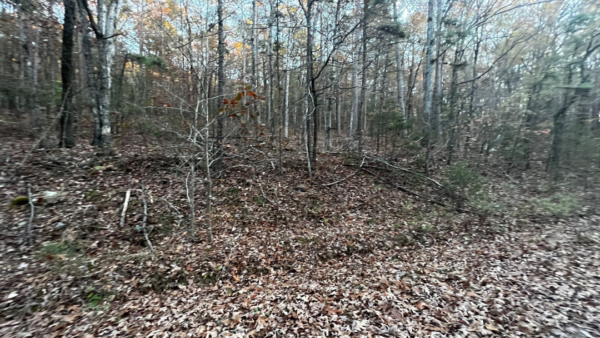 0.22 Acres at Ridgeline Lane, Fairfield Bay - AR