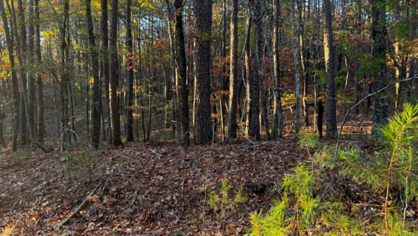 0.27 Acres at Exeter Circle - Fairfield Bay AR