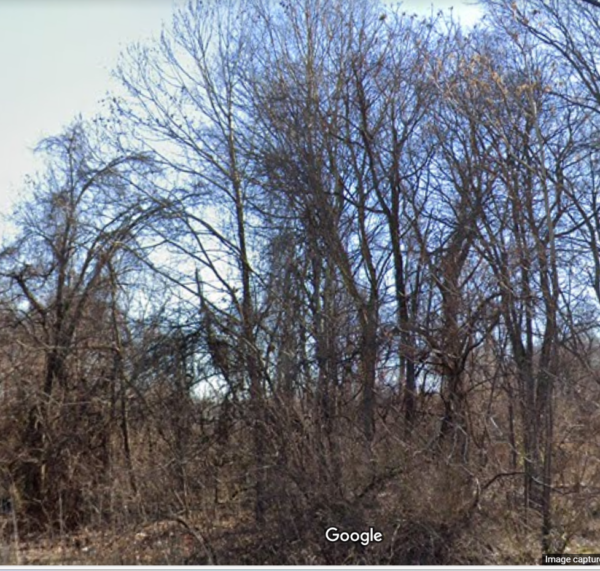 Coveted Plot: 0.31669 Acres in Memphis, Tennessee – An Unmissable Investment! - Image 2